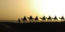 Fifteen Day Holy Land Egypt Jordan Israel Travel Tour