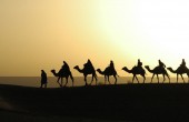 Fifteen Day Holy Land Egypt Jordan Israel Travel Tour