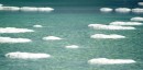 Travel to Israel swim and float on the Dead Sea