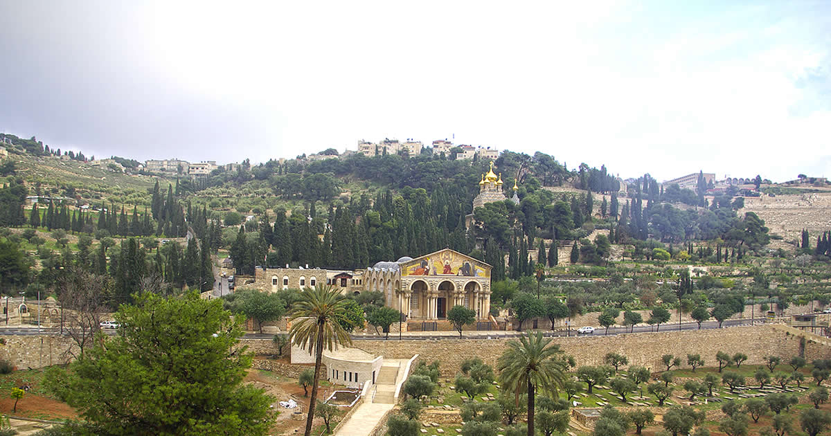 Holy Land Tours to Mount of Olives