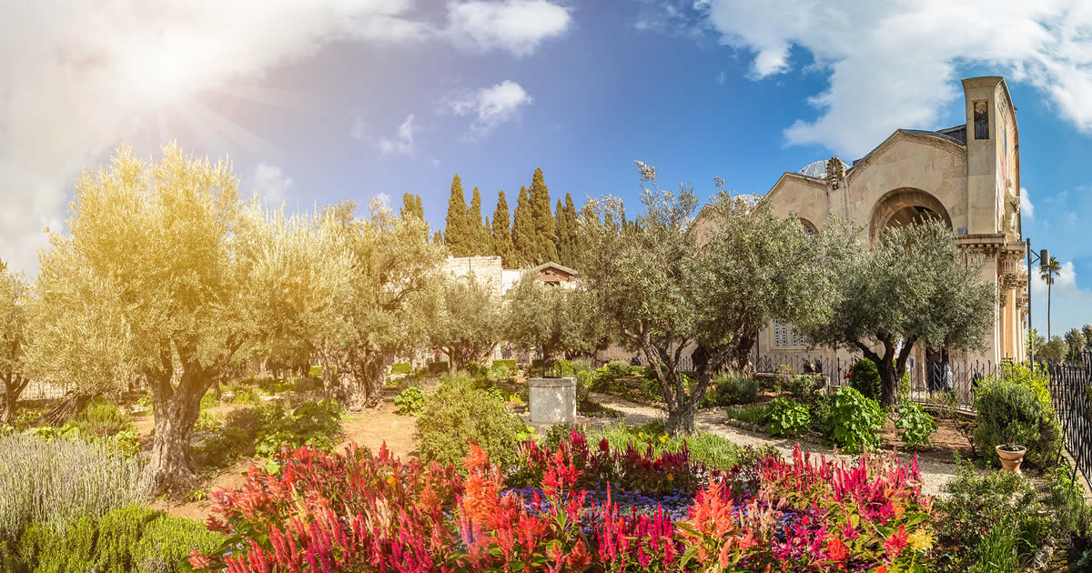 Holy Land tour