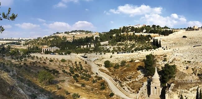 Monte de los Olivos